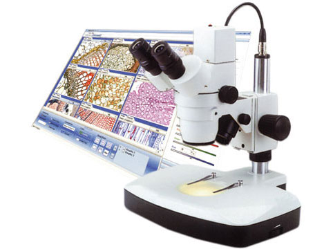 THE PRINCIPLE OF OPERATION OF DIGITAL MICROSCOPES THE PRINCIPLE OF OPERATION OF DIGITAL MICROSCOPES