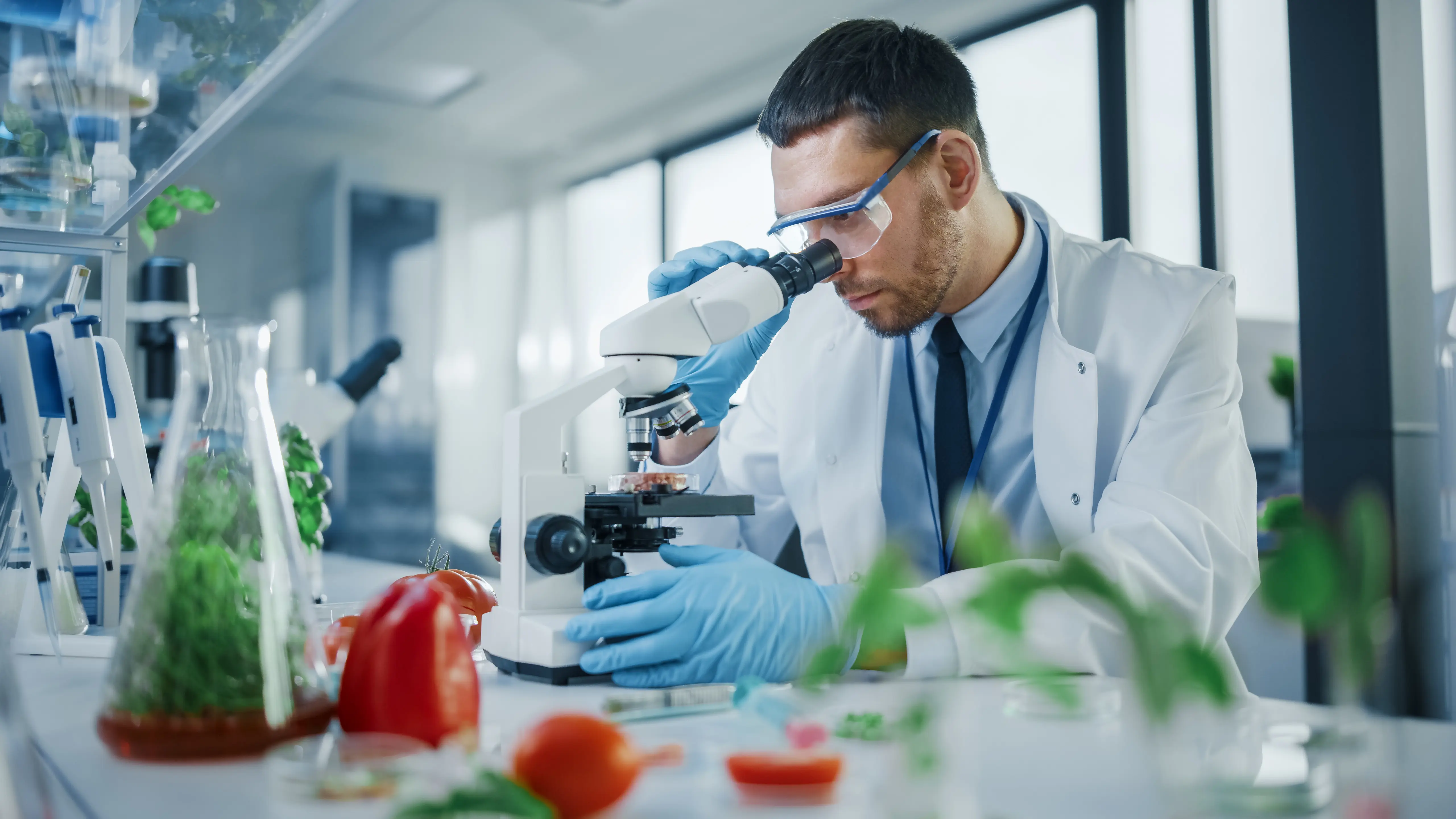What Are the Goals and Tests in Food Laboratories? What Are the Goals and Tests in Food Laboratories?