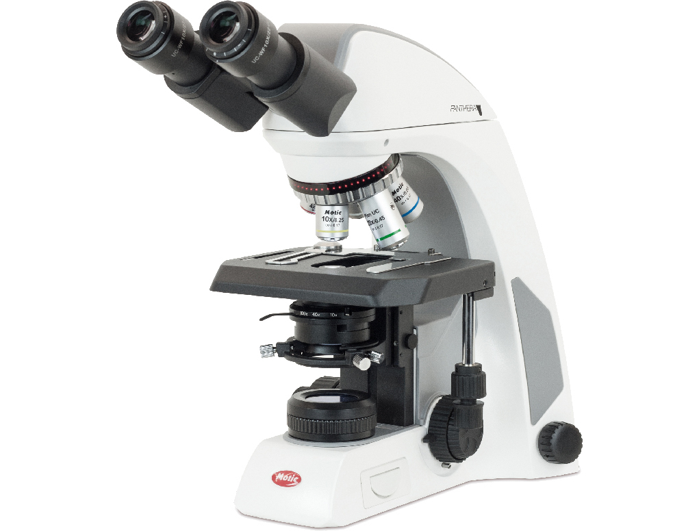 Binocular Microscope - Panthera C 3