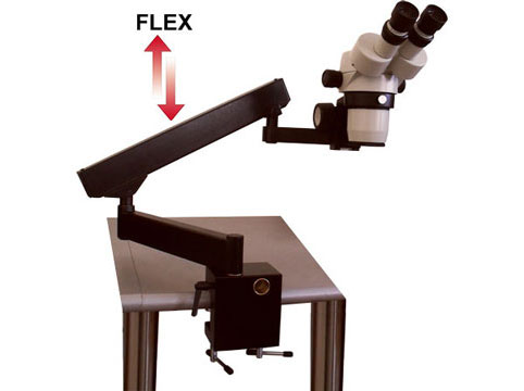 Flex arm Stand with e-arm Focus and clamp