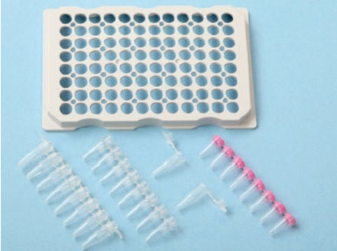 Adaptor for 8x0.2ml strip or 0.2ml PCR tubes