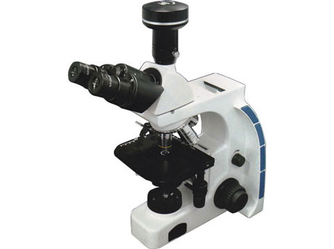 Trinocular Biological microscope