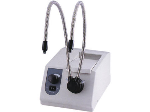 Fibre optic lamp-twin arms