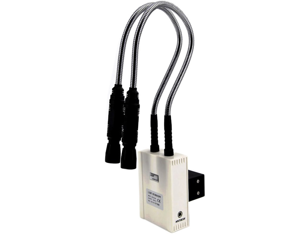 Fibre optic lamp-twin arms 1