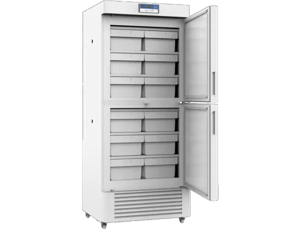 Freezer -25 Deg C 450 liter 3