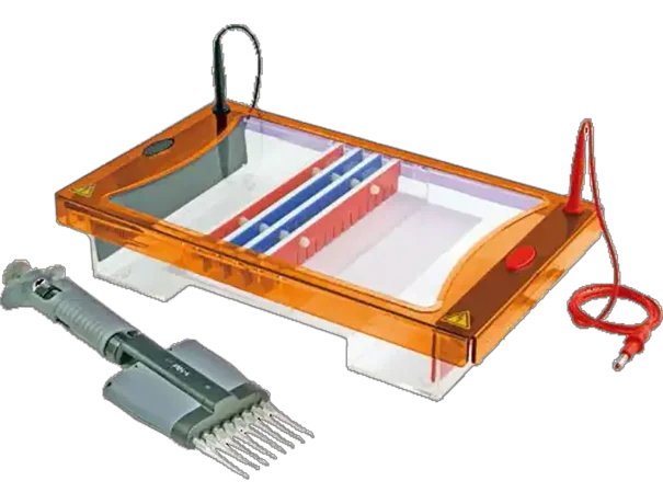 Maxi 20 x 10cm & 20 x 20cm UV Tray, 2 x 20 sample, 1mm thick combs, casting dams, loading guides 3