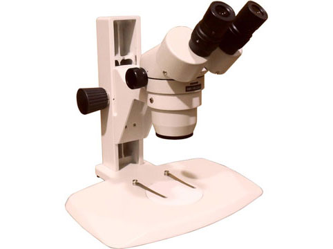 Optical System Greenough Stereoscopic