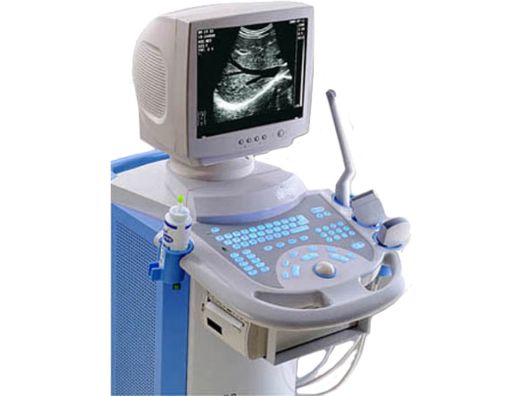 Veterinary Ultrasound Scanners